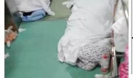 武汉最新爆料的医生是谁,揭秘引发关注的神秘医生身份